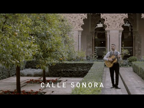 Calle Sonora | Nacho Di Martino - Englishman In New York (Cover)