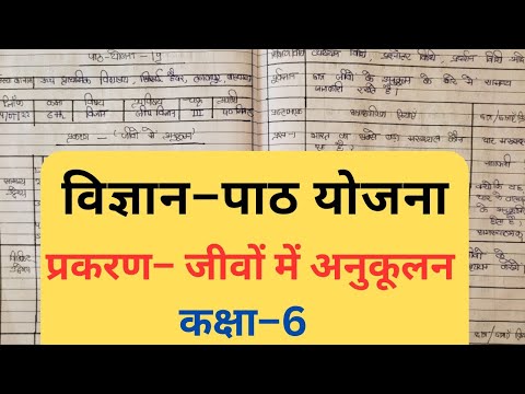 वीडियो: अपशिष्ट छँटाई परिसर: घरेलू कचरे को छाँटने और संसाधित करने के लिए उपकरण