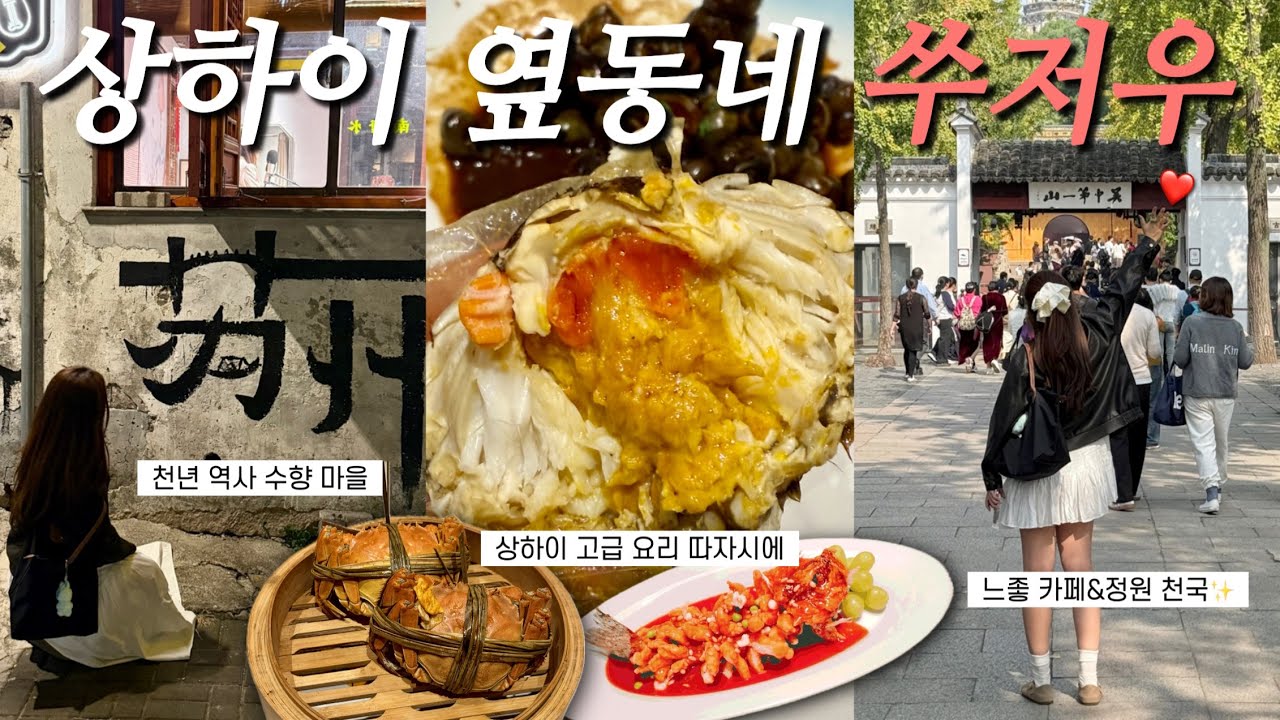 🇨🇳왜요 제가 게🦀하나 먹으러 쑤저우 가는 사람으로 보이세요? | 상하이~쑤저우 주말 기차 여행, 중국 최고 존엄 생선 요리🐟, 700년 된 사자 정원🦁