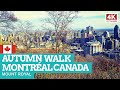 AUTUMN WALK in MONTRÉAL Canada | Mount Royal [NON-STOP] 4K Day+Night