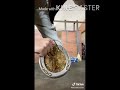 Hoof picking | TikTok Videos (read desc.)