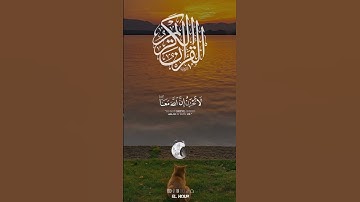 ما تيسر من سورة التوبة القارئ عبد الرحمن مسعد #اکتب_شی_تؤجر عليه #اكسبلور #لايك #بودكاست ابراهیم