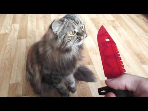 m9 bayonet slaughter in real life youtube