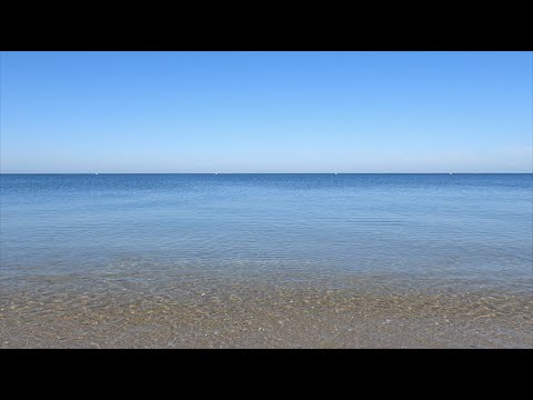 Vidéo: Une Photo Audacieuse De Lyubov Tolkalina Depuis Une Plage Sauvage A Ravi Le Réseau