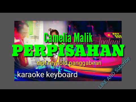 PERPISAHAN CAMELIA MALIK