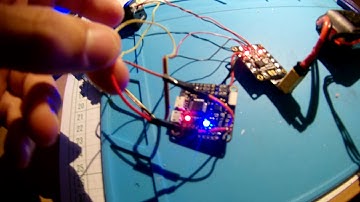 betaflight F3, no video