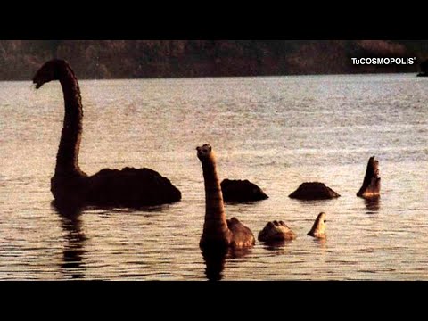 Vídeo: Los Rumores De Que El Monstruo Del Lago Ness Murió Siguen Siendo Claramente Exagerados - Vista Alternativa