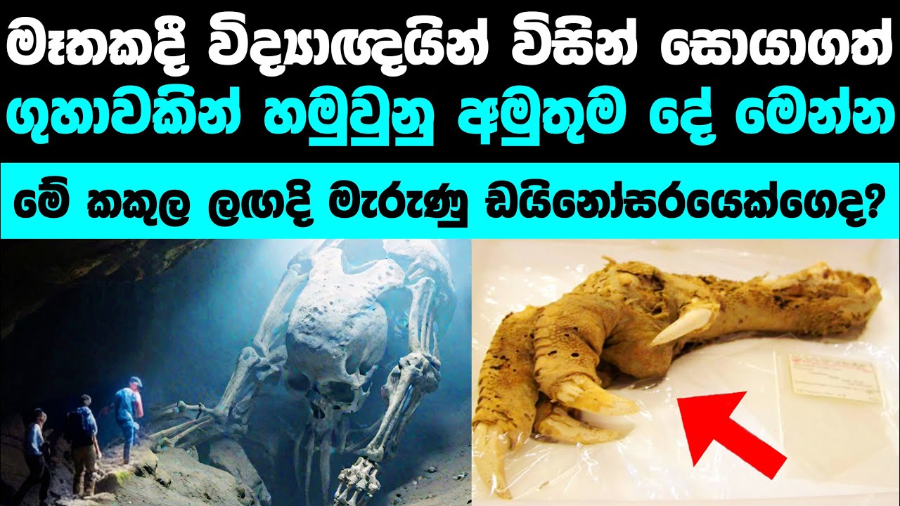 ගුහාවකින් විද්වතුන් සොයාගත් පුදුම හිතෙන දේ මෙන්න | scientists found these inside a cave