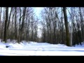 Воронеж 9-ый километр + лыжи =) (база Олимпик)
