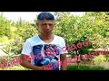 Jdid 2020|jdid rai 2020♤♤Cheb khaled alaoui Officel Rai|2019|2020 ♡♡♡تحيا لناس وجدةوكل المغاربة Rai 2020