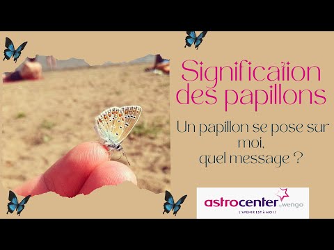 Vidéo: Papillons nocturnes : caractéristiques de l'existence de chaque espèce