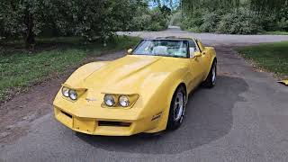 1980 corvette yellow on oyster interior