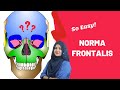 Norma Frontalis | Skull Anatomy