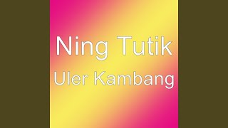 Download Lagu Uler Kambang Download Lagu Uler Kambang