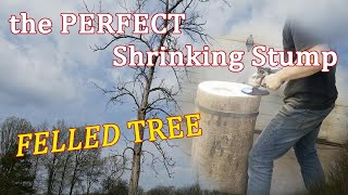 Building a SHRINKING Stump