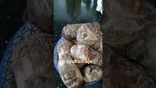 Nikmat Allah Itu Nyata Kita Syukuri Kita Nikmati Allah Kan Selalu Me Nambah Kenikmatan Itu