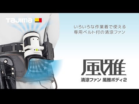 ロ*ス様 美品❗️タジマ清涼ファン風雅ボディフルセット　2組 TAJIMA タジマ 清涼ファン風雅ボディ2 フルセット FB-BA28SEGW