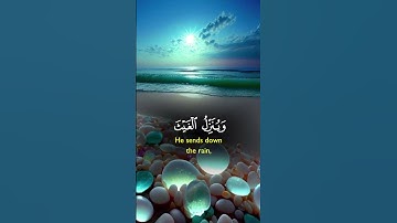 اللهم أجعل القرآن الكريم ربيع قلوبنا ونور صدورنا وجلاء همنا وحزننا آمين يارب العالمين #القرآن_الكريم