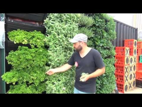 Wall