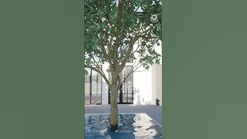 Villa Maze/courtyard