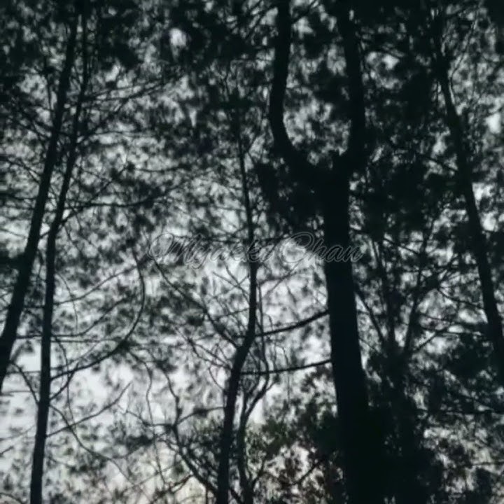 MENJERIT SALAH SATU CARA YANG PALING TEPAT😭😭aaaaahhhhhh