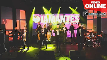 Los Terribles Diamantes de Valencia - Concierto Online HD