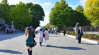 From Kappabashi to Ueno Park |Walking Tokyo Japan 4K HDR