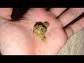 A Very Unique First Time With Cannabis | Erowid Expeditions Episode 39