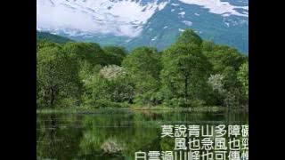 汪明荃 萬水千山總是情