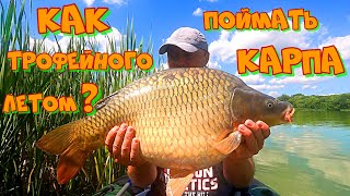 видео: Поиск и Ловля ТРОФЕЙНОГО КАРПА на БОКОВОЙ КИВОК ! Рыбалка на БОКОВОЙ КИВОК летом . картинка: Поиск и Ловля ТРОФЕЙНОГО КАРПА на БОКОВОЙ КИВОК ! Рыбалка на БОКОВОЙ КИВОК летом .