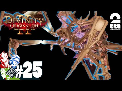 #25【RPG】弟者,兄者,おついちの「Divinity :Original Sin 2」【2BRO.】