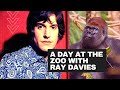 Capture de la vidéo The Kinks | A Day At The Zoo With Ray Davies