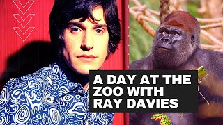 The Kinks | A Day at the Zoo With Ray Davies