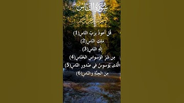 سورة الناس   سورة 114   عدد آياتها 6