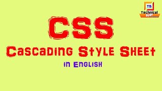 CSS cascading style sheets for beginners. Inline CSS, Internal CSS, External CSS.