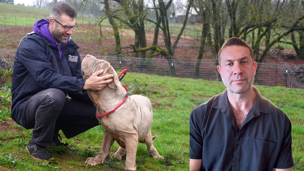 Velveteen's story is a cautionary tale exposing the worst part of animal rescue... the people