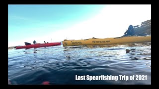 Last Spearfishing Run for 2021 - #california #lingcod #rockfish #cabezon #pacificocean #bigsur
