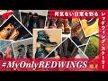 【#MyOnlyREDWINGS Vol.18】今年のマイオンリーも日常を切り取った心温まるストーリーが満載です!