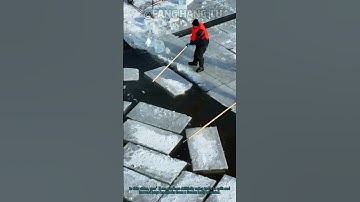 Ice Harvesting: How Workers Collect Ice Blocks for Preservation Traditionally