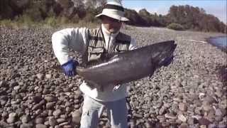 PESCA EN RIO CALCURRUPE