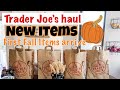 Trader Joe&#39;s Haul 2020 | First FALL items ARRIVE!!