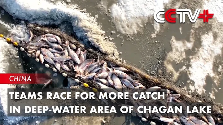 Teams Race for More Catch in Deep-Water Area of Chagan Lake - DayDayNews