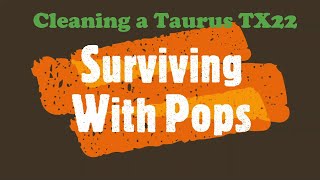 Cleaning a Taurus TX22 with Pops