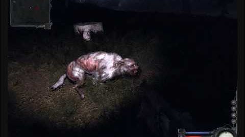 Pseudo-Dog Shotgun Phail