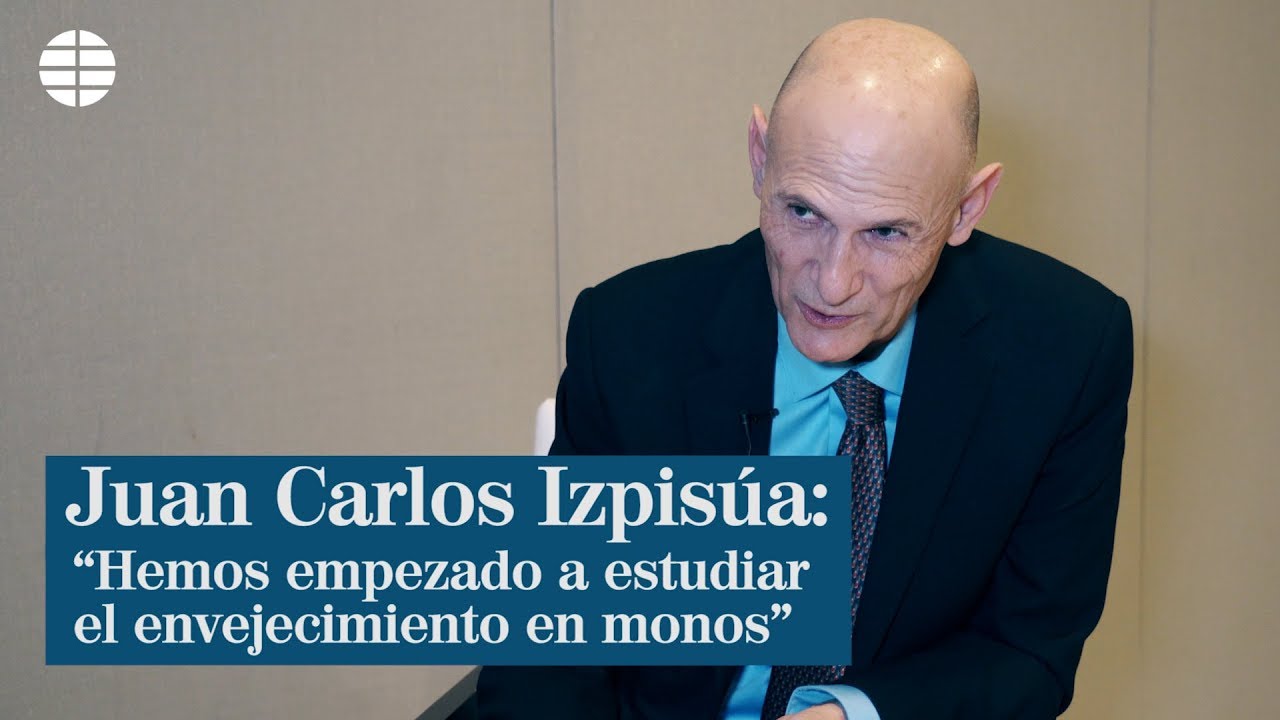 Juan Carlos Izpisúa: "Hemos empezado a estudiar el envejecimiento en monos"  - YouTube