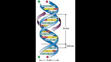 STD IX Science and Technology 2 | Chapter : 16 Heredity and Variation | Part 2 |