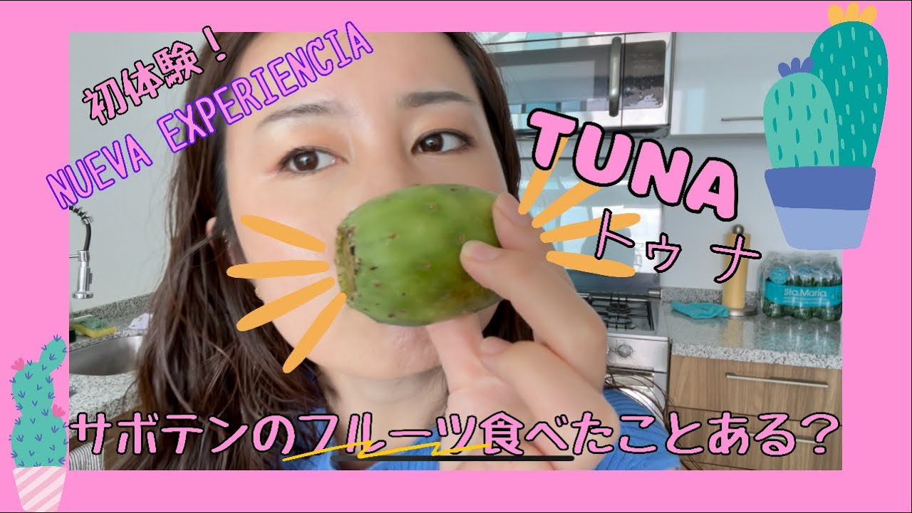 サボテンのフルーツを食べてみた Japoneses Comieron Una Tuna Japanese Ate A Tuna That Is Mexican Fruit Youtube