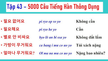 [ TẬP 43 ] 5000 CÂU TIẾNG HÀN NGẮN THÔNG DỤNG | 실제로 자주 쓰는 한국어 문장들