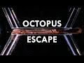 Octopuses are the World’s Greatest Escape Artists (Ft. PhilosophyTube)