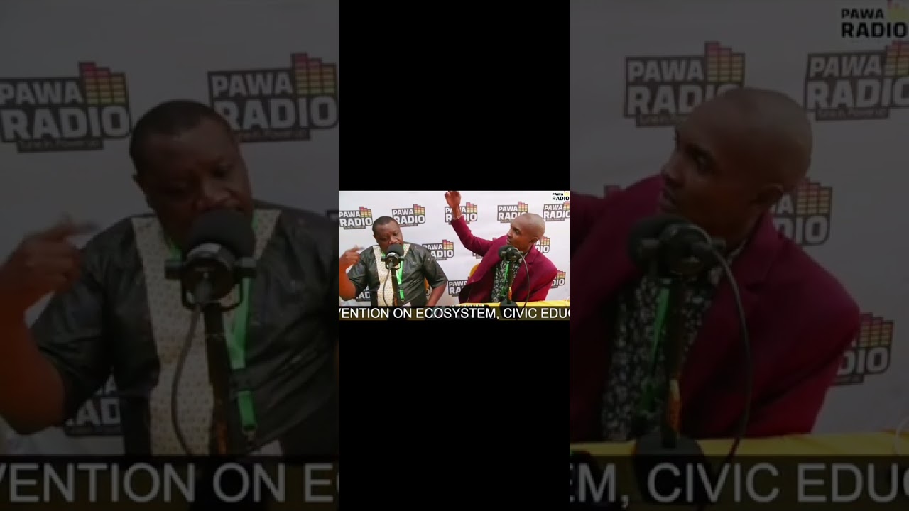 Наблюдатель за выборами в Касипуле (штат Миссури): важность социальной проверки 